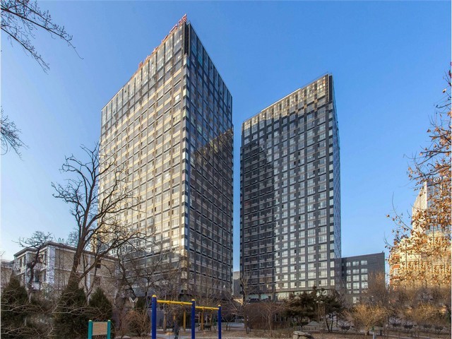 潍坊进口猫罐头哪家好